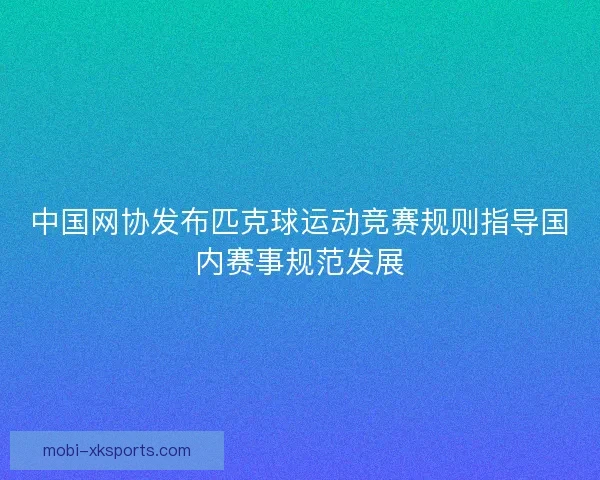 中国网协发布匹克球运动竞赛规则指导国内赛事规范发展